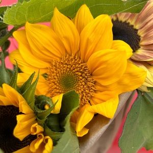 Meet your Posher, Kelly.